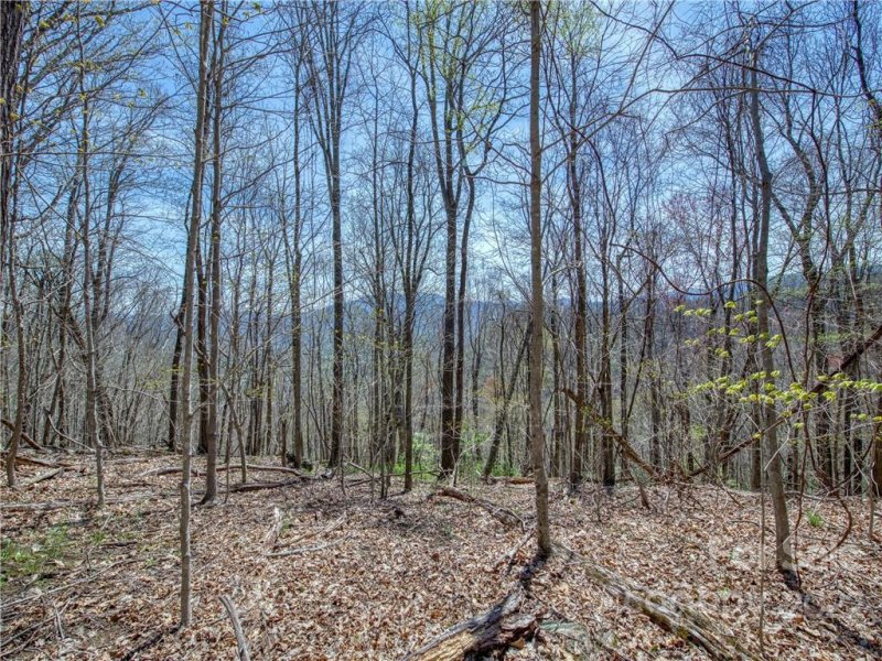 Property image 2 at 770 Spring Valley Drive, Waynesville, NC 28786