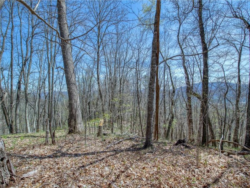 Property image 3 at 770 Spring Valley Drive, Waynesville, NC 28786