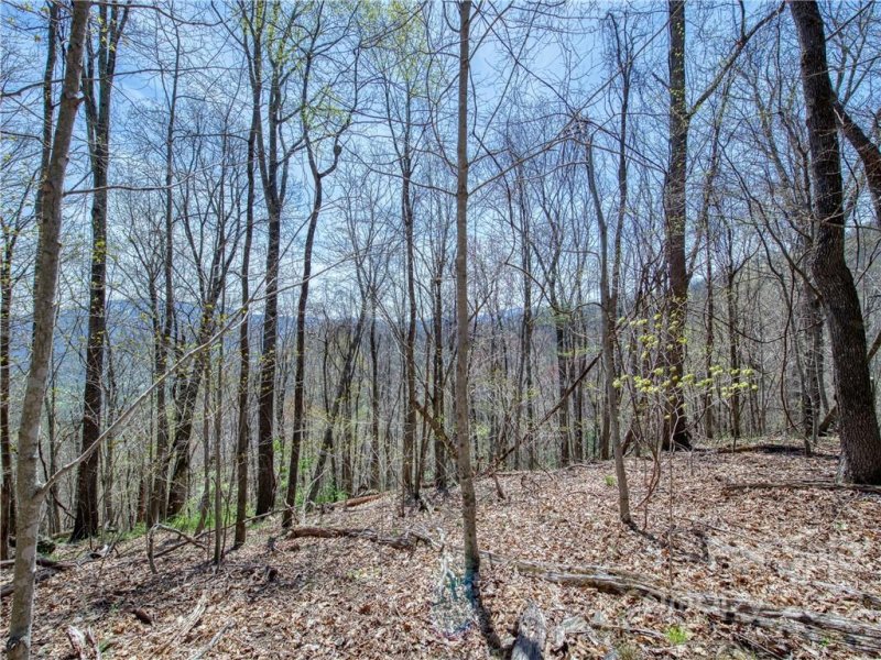 Property image 4 at 770 Spring Valley Drive, Waynesville, NC 28786