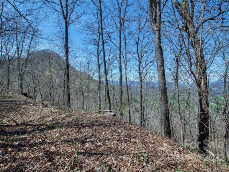 Property image 5 at 770 Spring Valley Drive, Waynesville, NC 28786