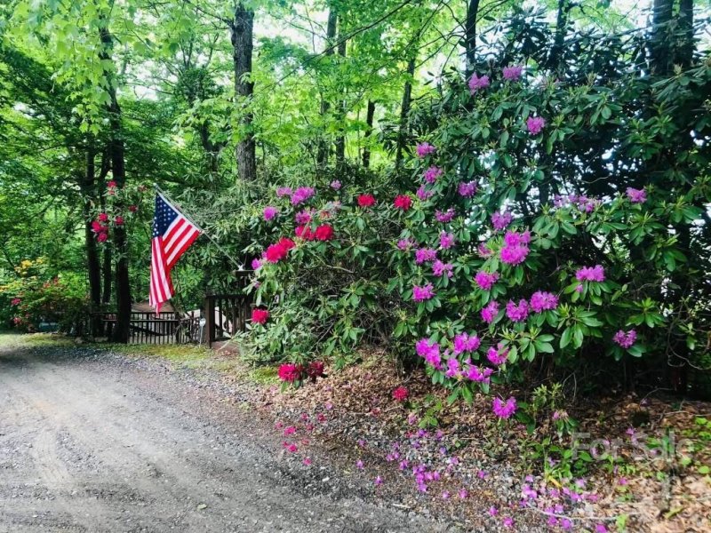 Property image 4 at 210 Hemlock Drive, Elk Park, NC 28622