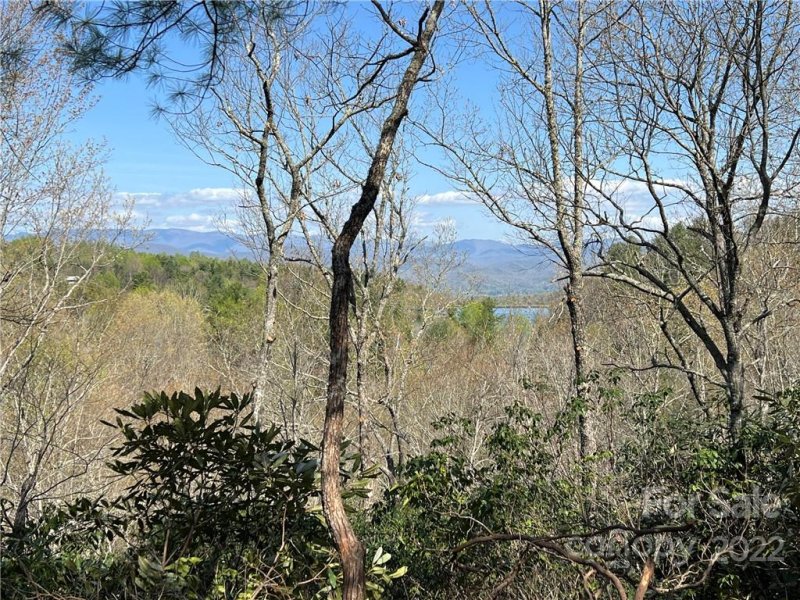Lot 625 Lost Mine Trail