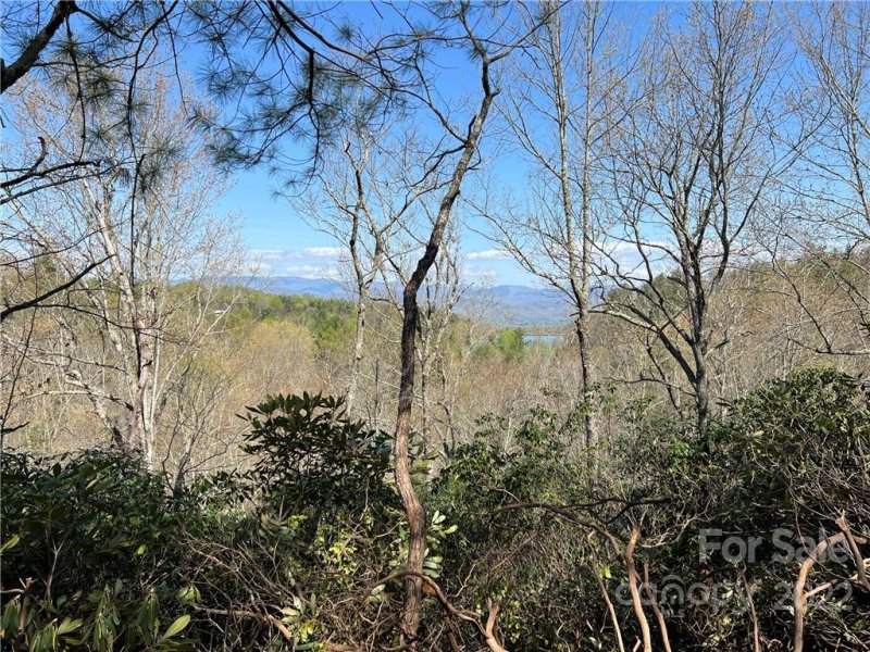Property image 2 at Lot 625 Lost Mine Trail, Brevard, NC 28712