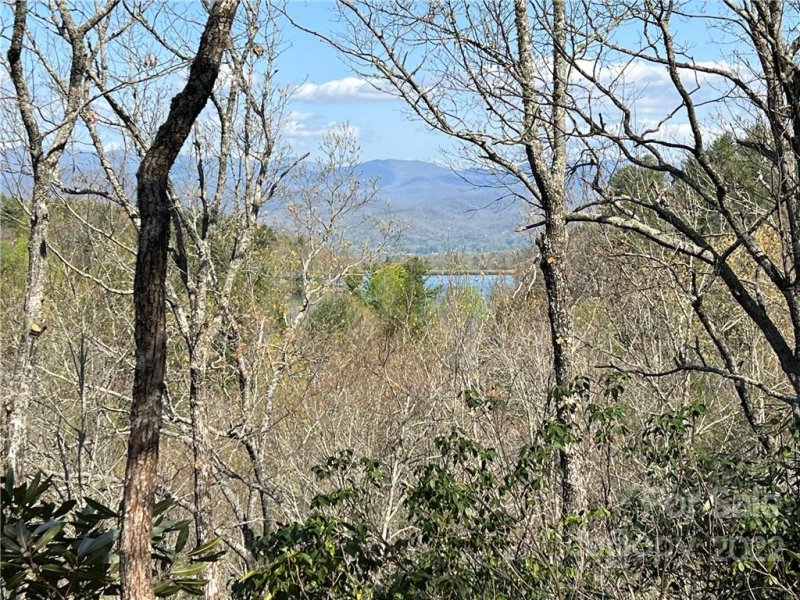 Property image 3 at Lot 625 Lost Mine Trail, Brevard, NC 28712