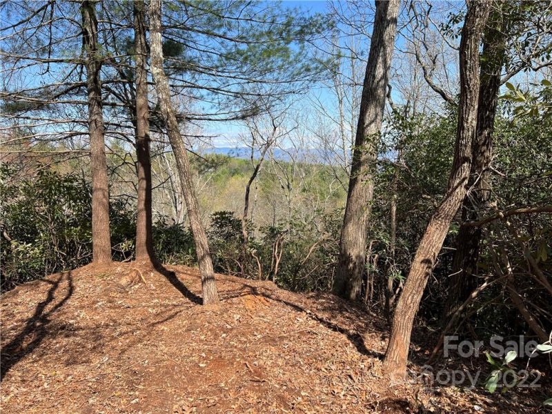 Property image 4 at Lot 625 Lost Mine Trail, Brevard, NC 28712