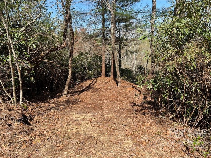 Property image 5 at Lot 625 Lost Mine Trail, Brevard, NC 28712
