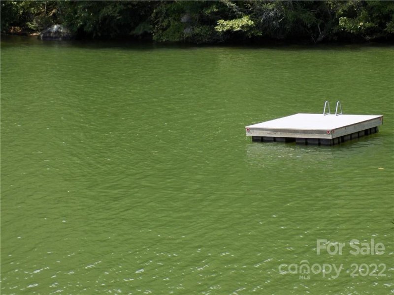 Property image 5 at 90 Bald Hill Court, Lake Lure, NC 28746