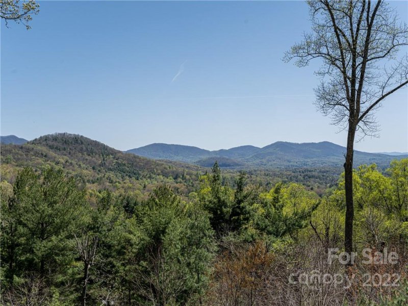 Property image 2 at 362 E Sondley Drive, Asheville, NC 28805