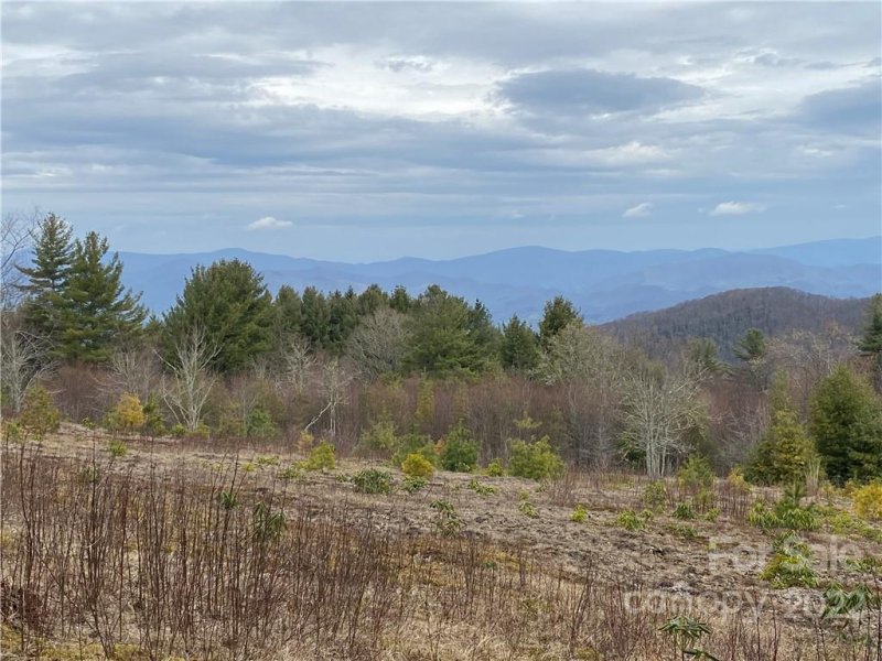 42 Ogle Meadows Road