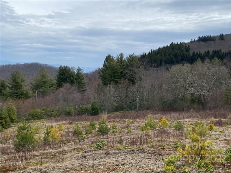 Property image 3 at 42 Ogle Meadows Road, Burnsville, NC 28714