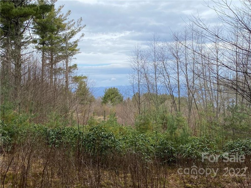 Property image 4 at 42 Ogle Meadows Road, Burnsville, NC 28714