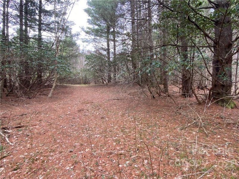 Property image 5 at 42 Ogle Meadows Road, Burnsville, NC 28714