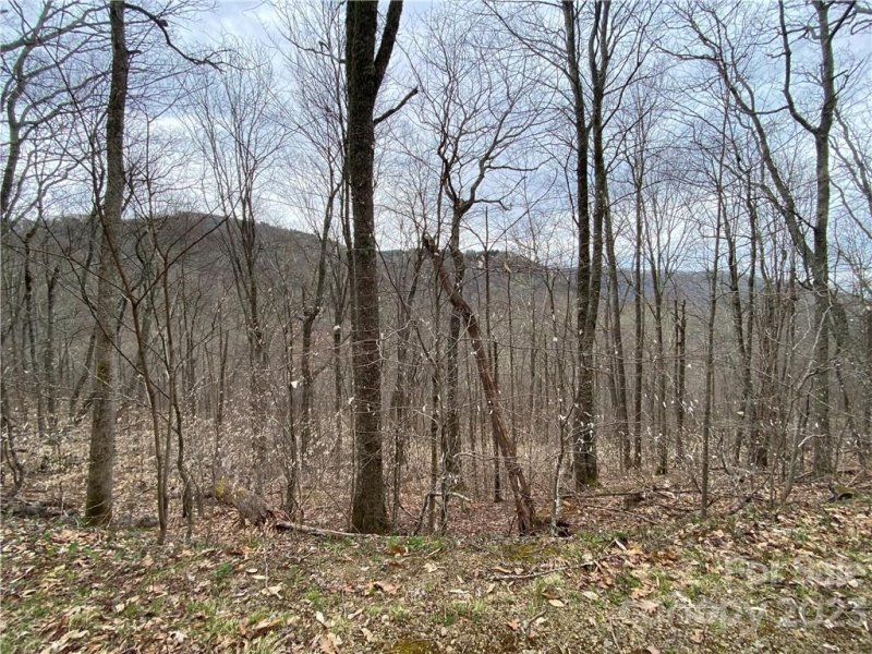 Property image 2 at 21 Ogle Meadows Road, Burnsville, NC 28714