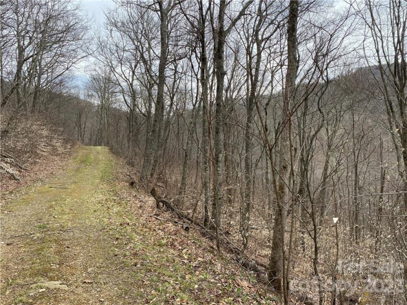 Property image 4 at 21 Ogle Meadows Road, Burnsville, NC 28714