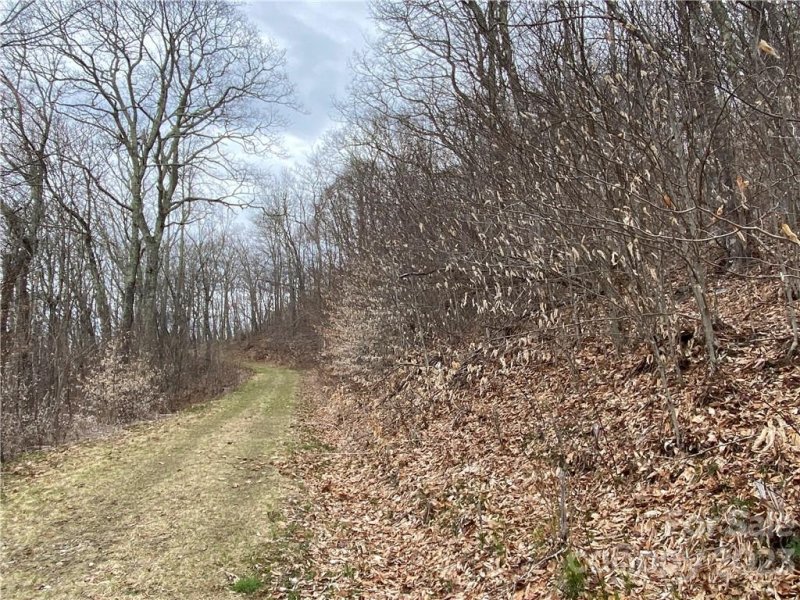 Property image 5 at 21 Ogle Meadows Road, Burnsville, NC 28714