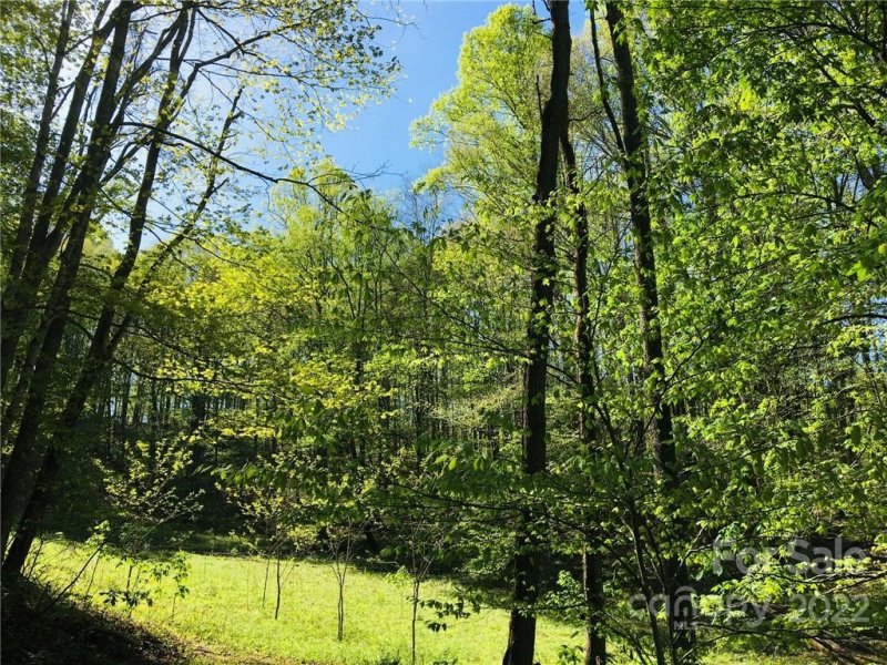 Property image 3 at 60 Trillium Lane, Mars Hill, NC 28754