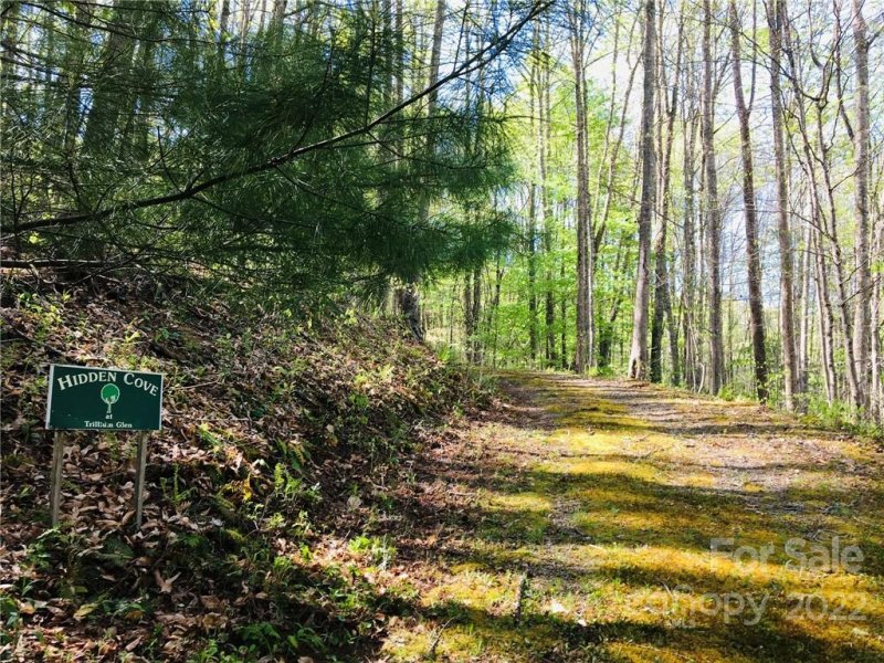 Property image 5 at 60 Trillium Lane, Mars Hill, NC 28754