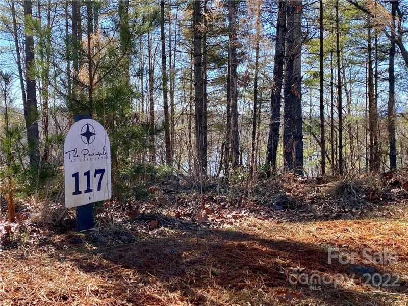 Property image 2 at 117 Crest View Drive, Nebo, NC 28761