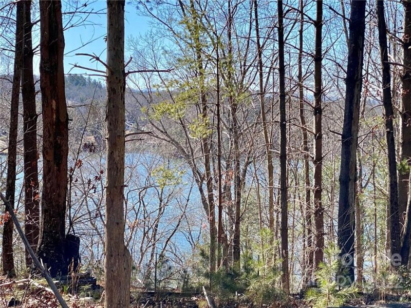 Property image 3 at 117 Crest View Drive, Nebo, NC 28761