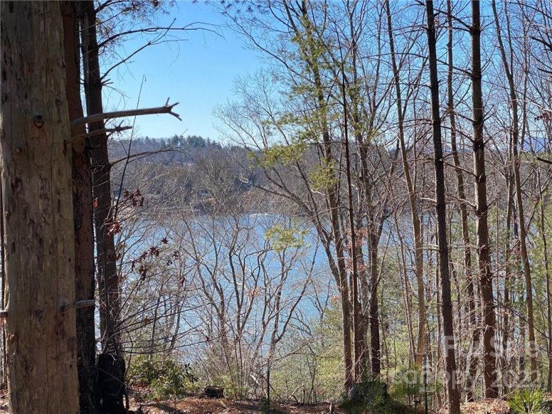 Property image 4 at 117 Crest View Drive, Nebo, NC 28761