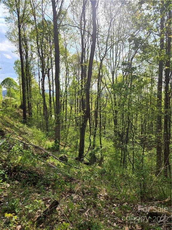 Property image 2 at 173 175 Wills Way, Canton, NC 28716