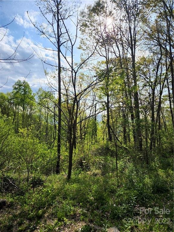 Property image 3 at 173 175 Wills Way, Canton, NC 28716