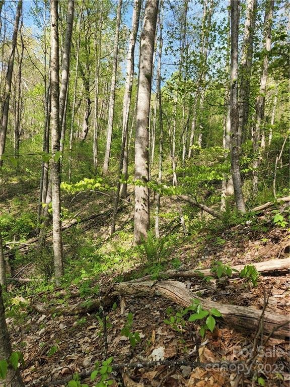 Property image 4 at 173 175 Wills Way, Canton, NC 28716