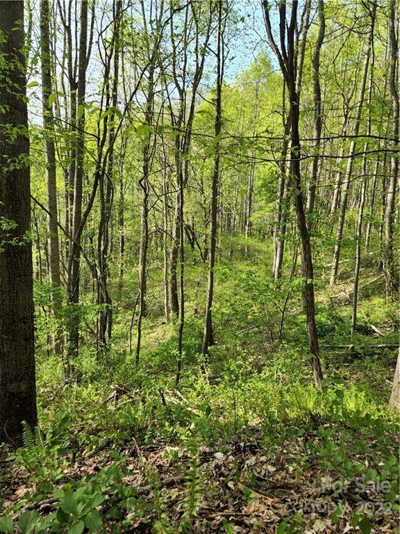 Property image 5 at 173 175 Wills Way, Canton, NC 28716