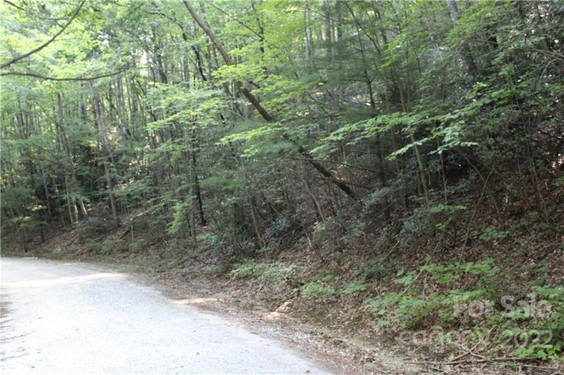 Property image 3 at Lot 401 1 65 Ac Mountain Lakes Drive, Tryon, NC 28782