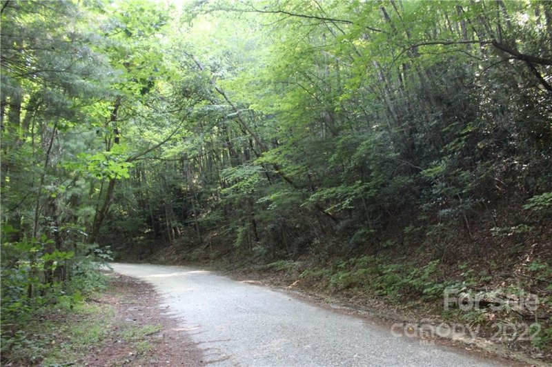 Property image 4 at Lot 401 1 65 Ac Mountain Lakes Drive, Tryon, NC 28782