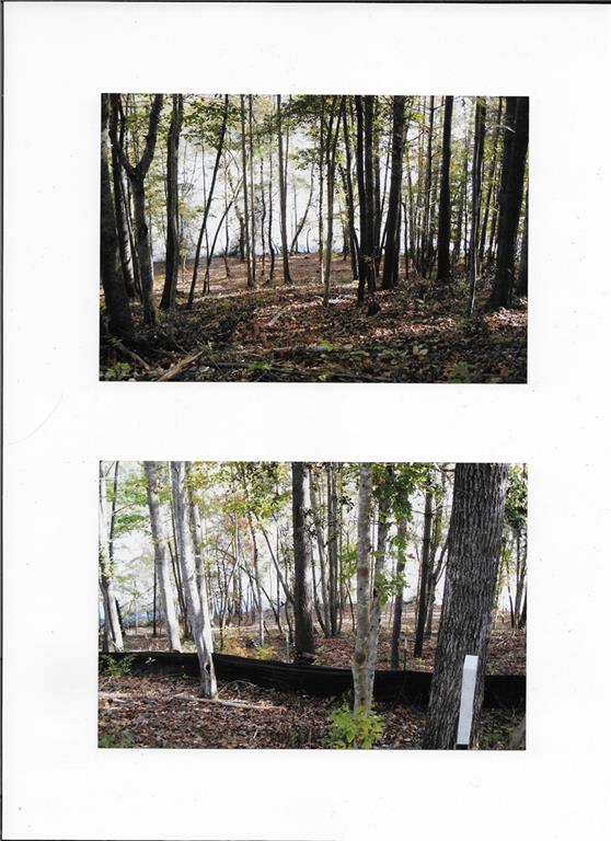 Property image 2 at 572 Settings Boulevard, Valdese, NC 28690