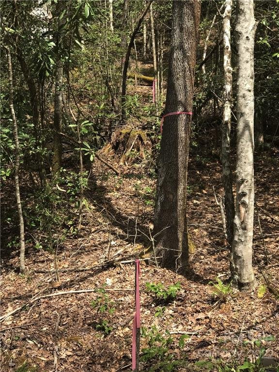 Property image 3 at Lt 147 Sunrise Court, Sapphire, NC 28774