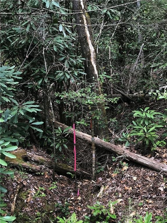 Property image 4 at Lt 147 Sunrise Court, Sapphire, NC 28774