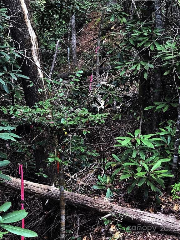 Property image 5 at Lt 147 Sunrise Court, Sapphire, NC 28774