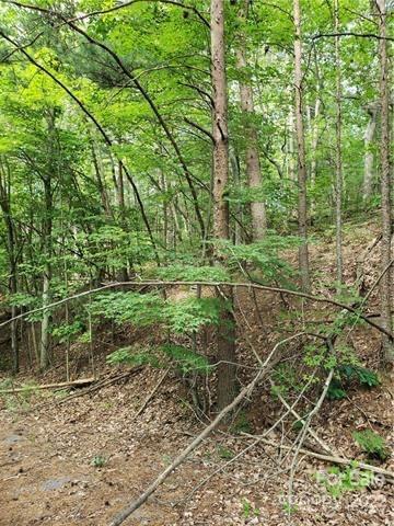 Property image 3 at 8574 Crestline Court, Connelly Springs, NC 28612