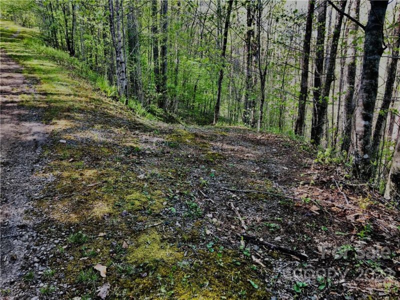 Property image 2 of 99 Fern Hill Drive in Trillium, Mars Hill, NC 28754