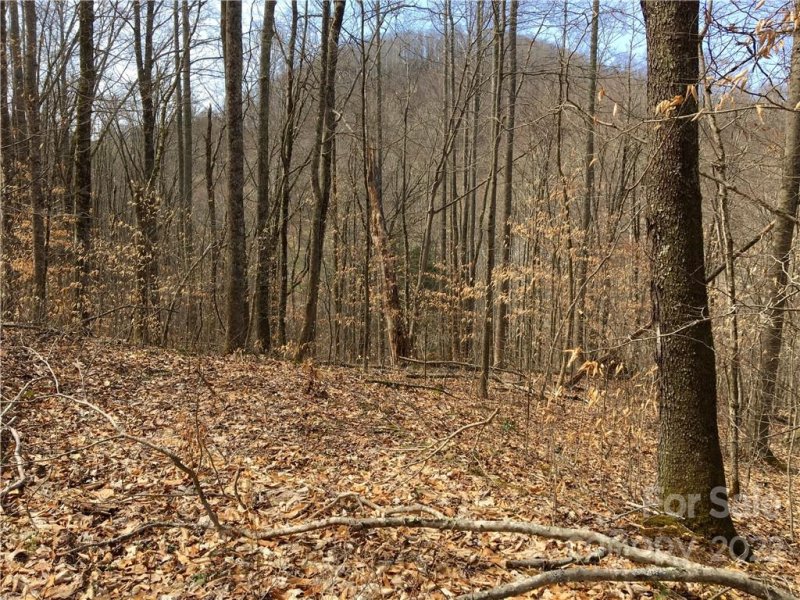 Property image 4 of 57 Fern Hill Drive in Trillium, Mars Hill, NC 28754