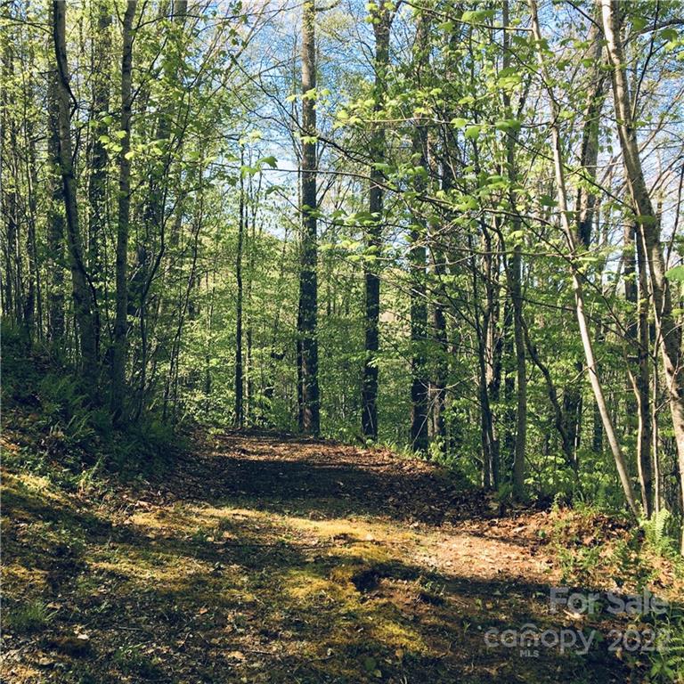 Property image 3 of 99 57 Fern Hill Drive in Trillium, Mars Hill, NC 28754