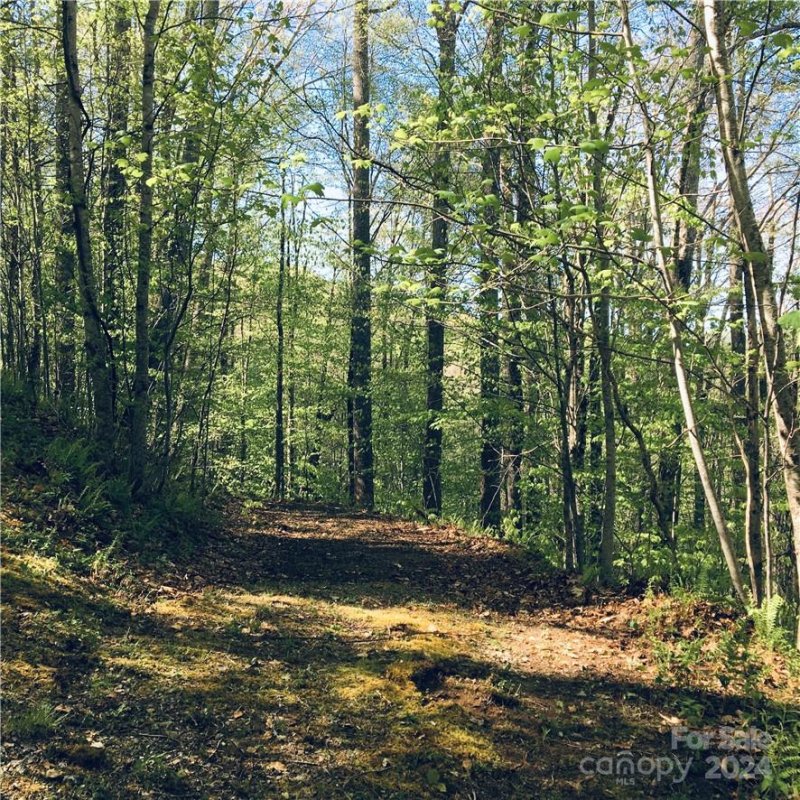 Property image 2 of Tbd Fern Hill Drive in Trillium, Mars Hill, NC 28754