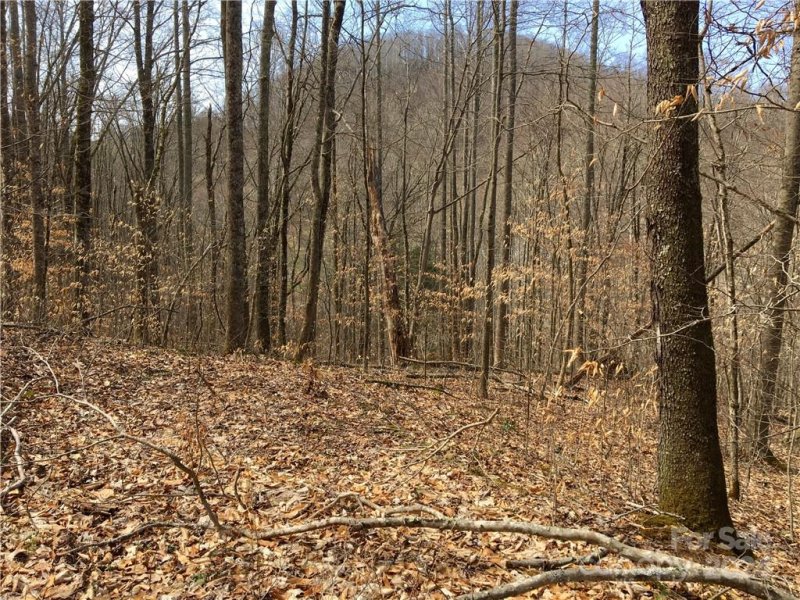 Property image 3 of Tbd Fern Hill Drive in Trillium, Mars Hill, NC 28754