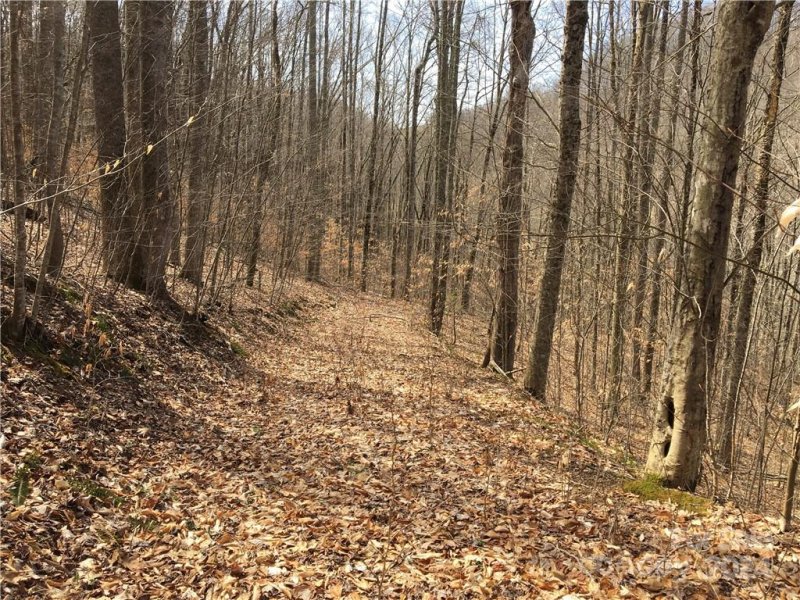 Property image 4 of Tbd Fern Hill Drive in Trillium, Mars Hill, NC 28754