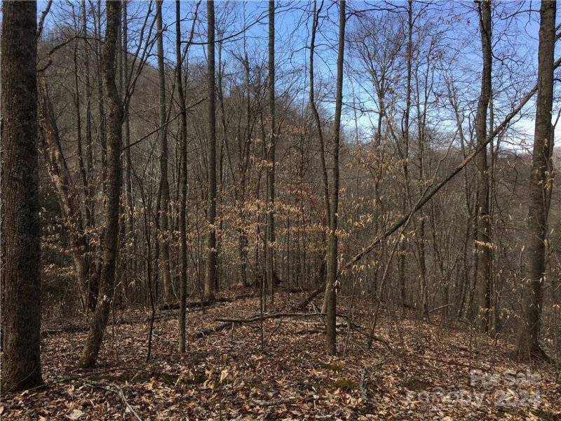 Property image 5 of Tbd Fern Hill Drive in Trillium, Mars Hill, NC 28754