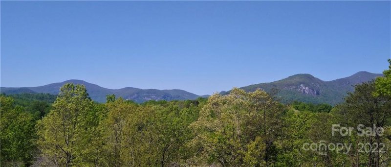 Property image 2 at 216 Easy Street, Lake Lure, NC 28746