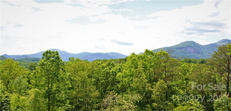 Property image 4 at 216 Easy Street, Lake Lure, NC 28746