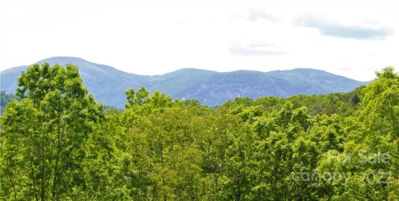 Property image 5 at 216 Easy Street, Lake Lure, NC 28746