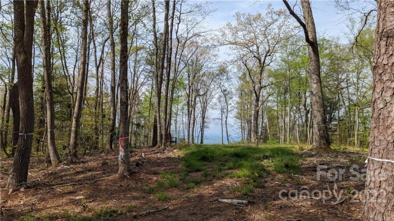 Property image 2 at Tbd Mountain Grove Lane, Fletcher, NC 28732