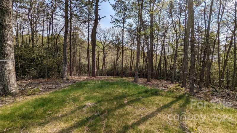 Property image 4 at Tbd Mountain Grove Lane, Fletcher, NC 28732