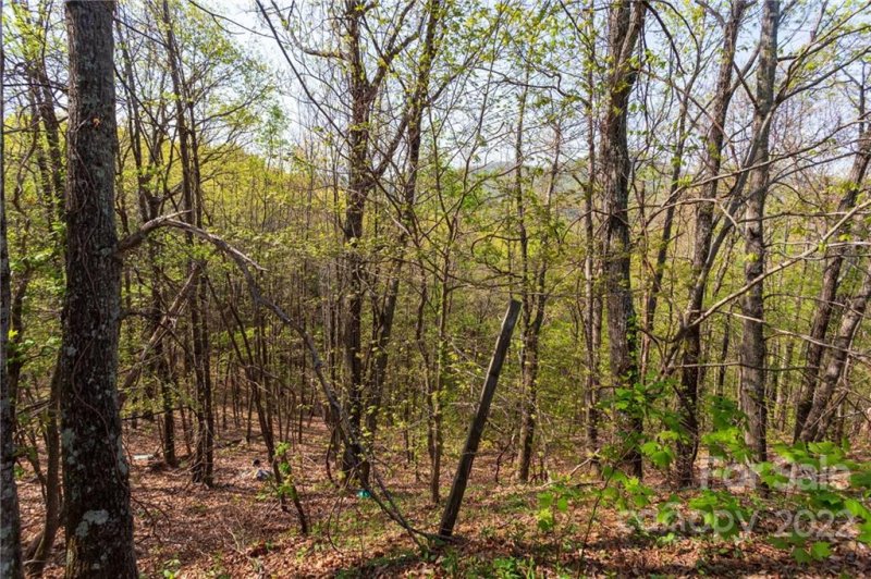Property image 3 at 170 Winding Ridge Road, Black Mountain, NC 28711