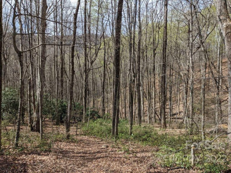 Property image 2 at 181 Ironwood Lane, Black Mountain, NC 28711