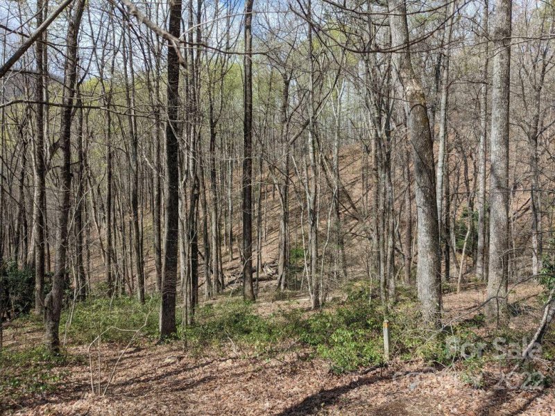 Property image 3 at 181 Ironwood Lane, Black Mountain, NC 28711